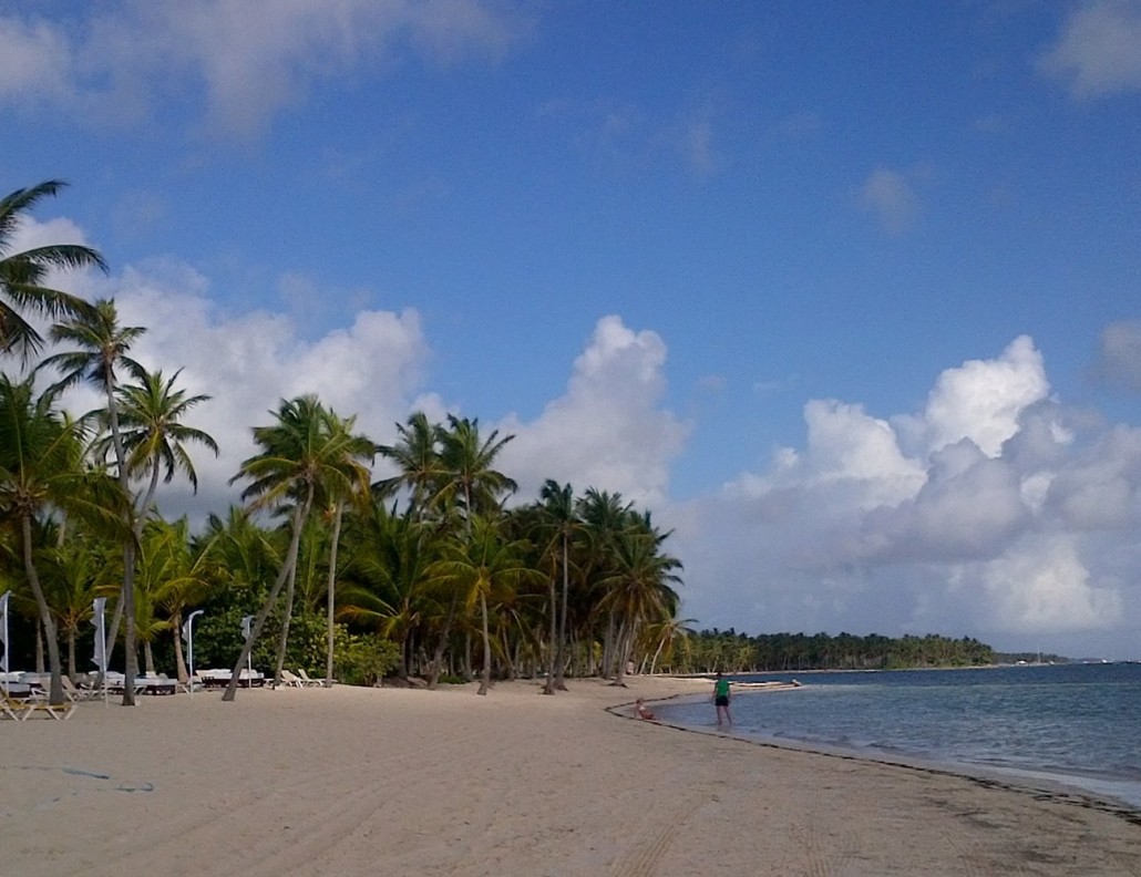 Praia com coqueiros em Punta Cana, na República Dominicana
