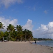 Praia com coqueiros em Punta Cana, na República Dominicana
